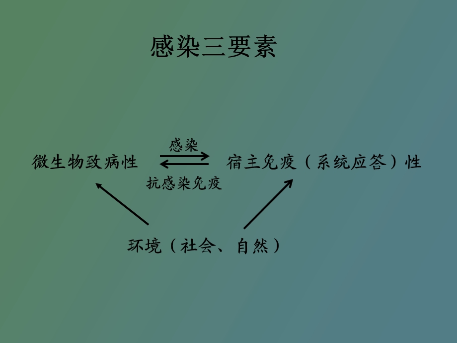 细菌的感染与免疫.ppt_第3页