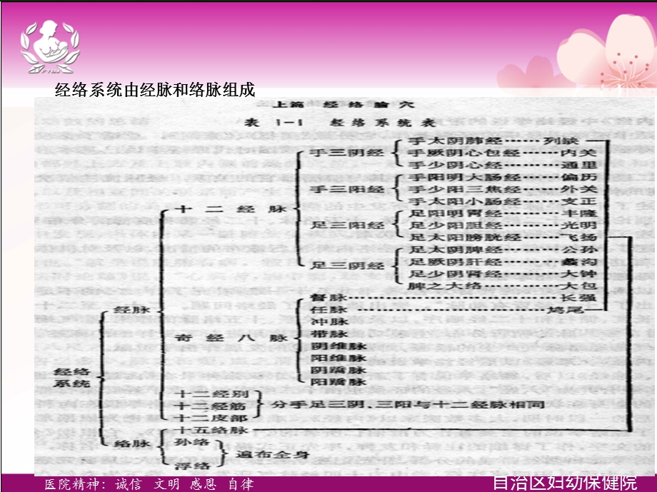 针灸基础知识及妇科疾病的治疗.ppt_第3页