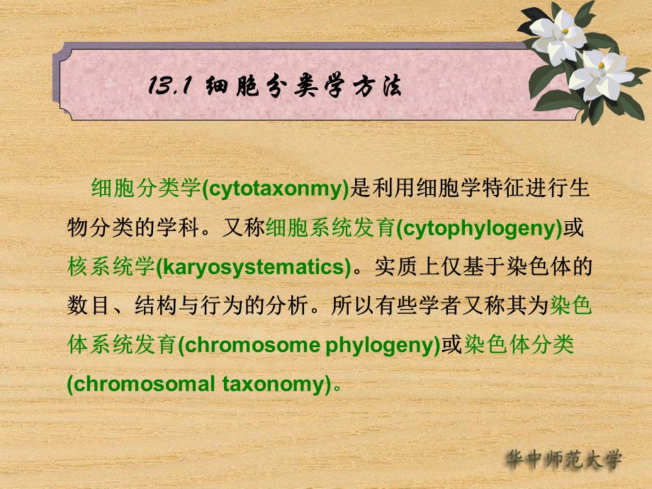 植物分类学新方法.ppt_第3页