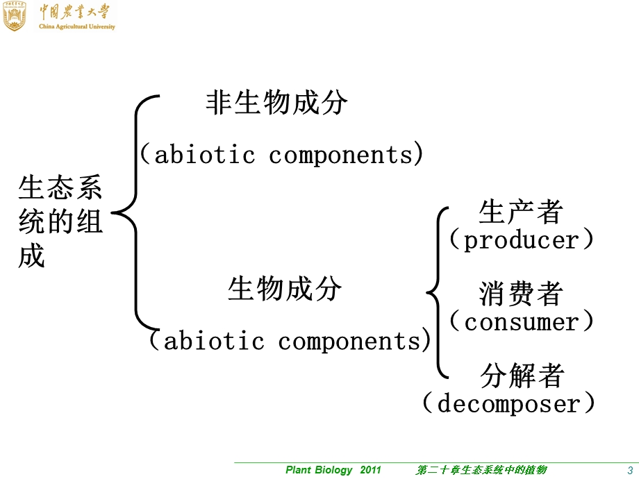 生态系统中的植物.ppt_第3页