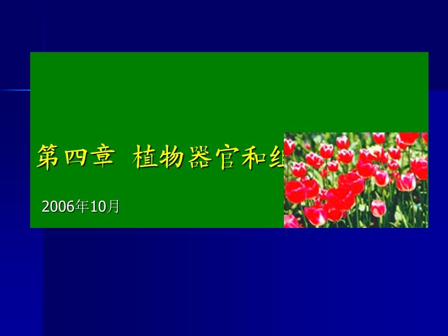 植物器官和组织培养.ppt_第1页