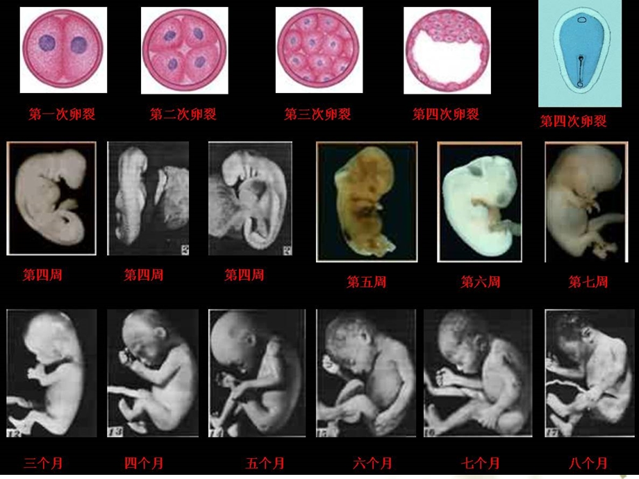 童年的发现(第一课时).ppt_第1页