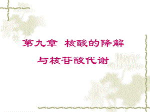 生物化学核酸的降解与核苷酸代谢.ppt