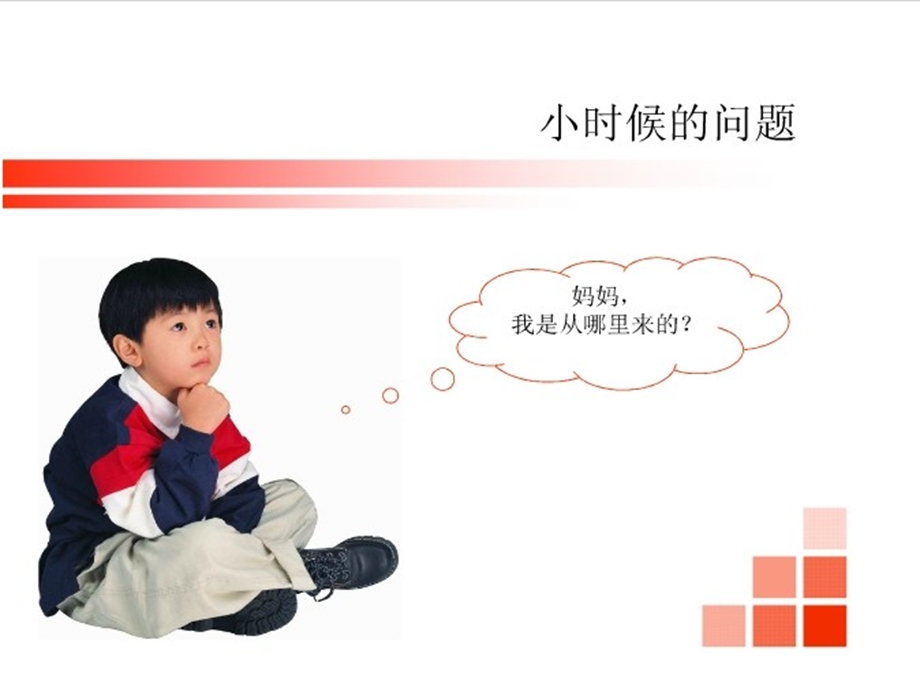 生命孕育的知识.ppt_第2页