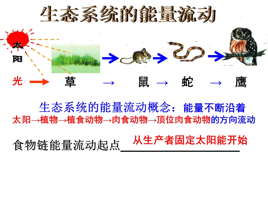 能流物质循环(1老师).ppt_第2页