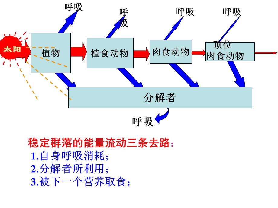 能流物质循环(1老师).ppt_第3页