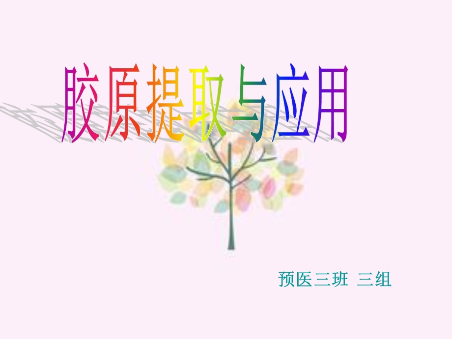 胶原蛋白提取与应用.ppt_第1页