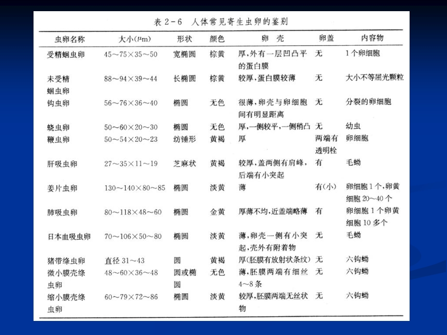 消化道寄生虫的病原检查.ppt_第3页