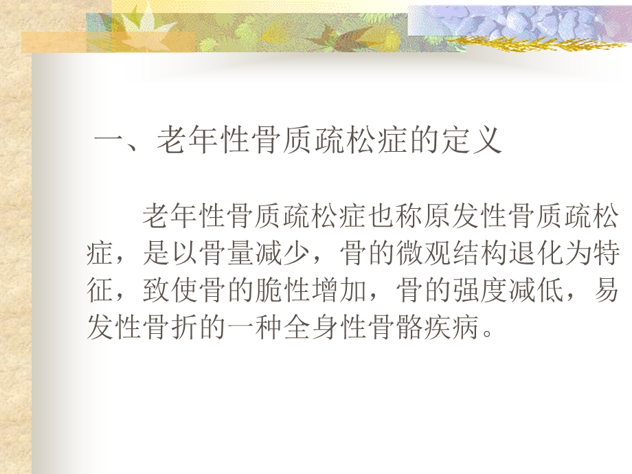 老年性骨质疏松症的诊断和治疗.ppt_第2页