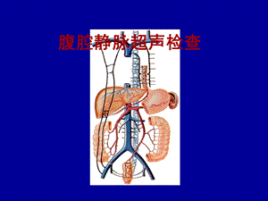 腹腔静脉超声检查.ppt