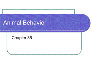 国外动物学36.ppt