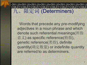 九限定词Determiners.ppt