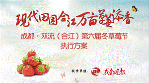 草莓节策划方案.ppt