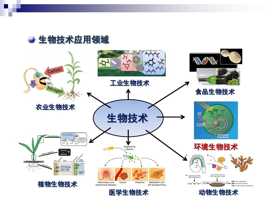 生物技术与环境.ppt_第2页