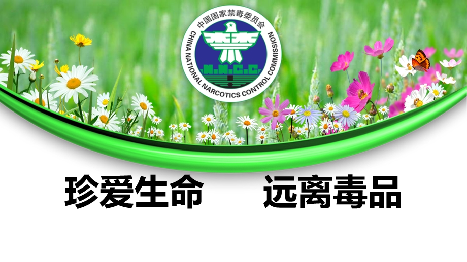 珍爱生命远离毒品PPT课件.ppt_第1页