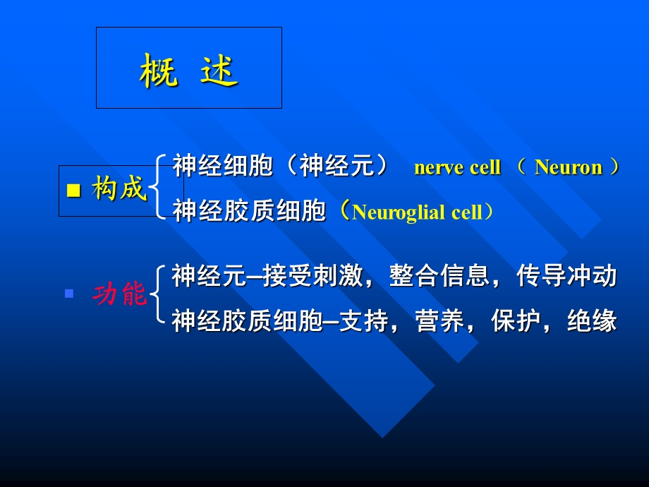 组织学与胚胎学第7章神经组织(上).ppt_第2页