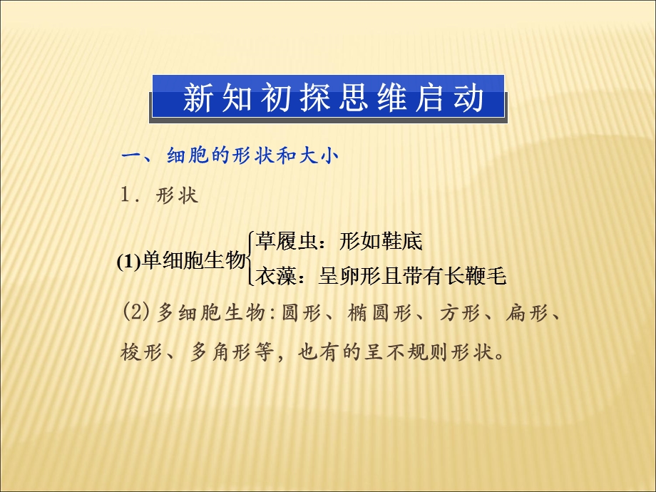 细胞的形态和功能.ppt_第3页