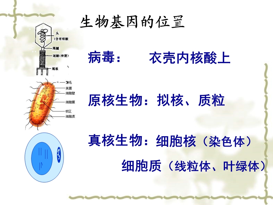 各位老师各位同学大家上午好！.ppt_第3页