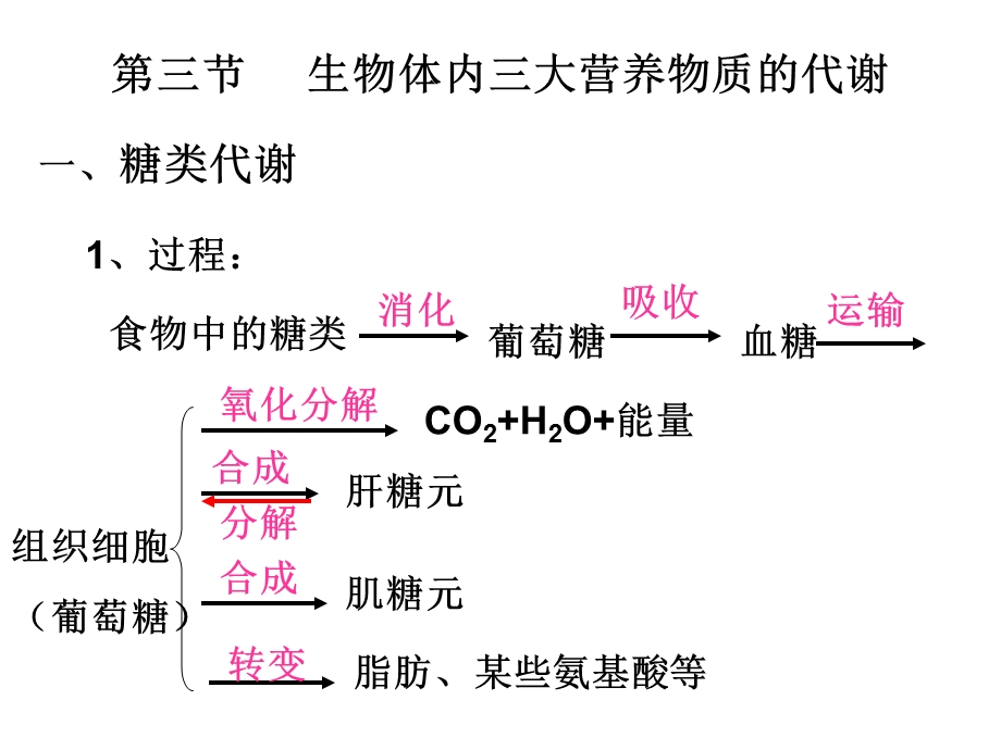 生物体内营养物质的转变.ppt_第1页