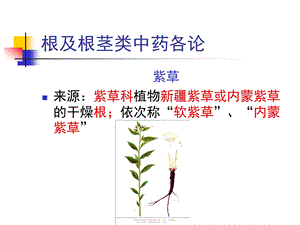 根及根茎类中药各论5.ppt