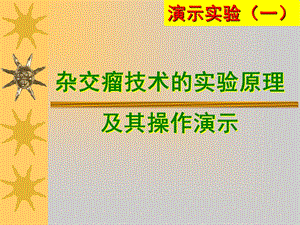 杂交瘤技术的实验原理及其操作演示.ppt