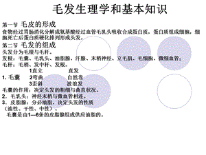 毛发生理学和基本.ppt