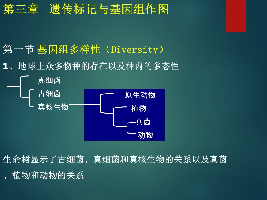 遗传标记与作图.ppt_第1页