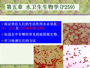 水的卫生细菌学.ppt