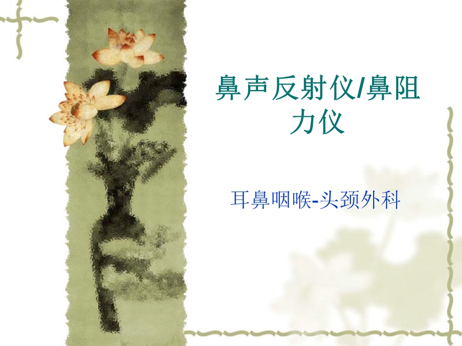 鼻声反射仪.ppt_第1页