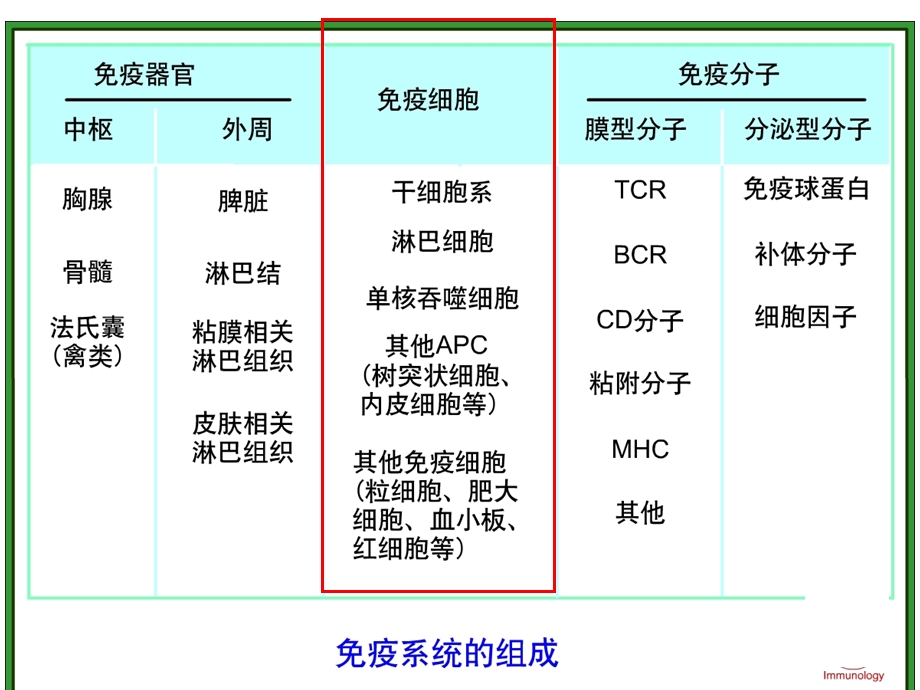 疫2015课件B细胞.ppt_第1页