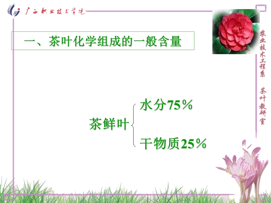 各位同学下午好！.ppt_第3页