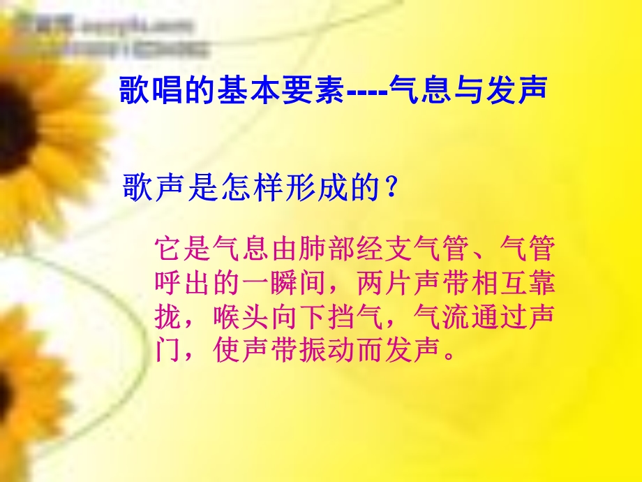 歌唱的基本要素气息与发声.ppt_第2页