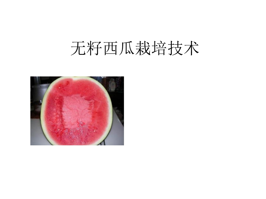 无籽西瓜栽培技术.ppt_第1页