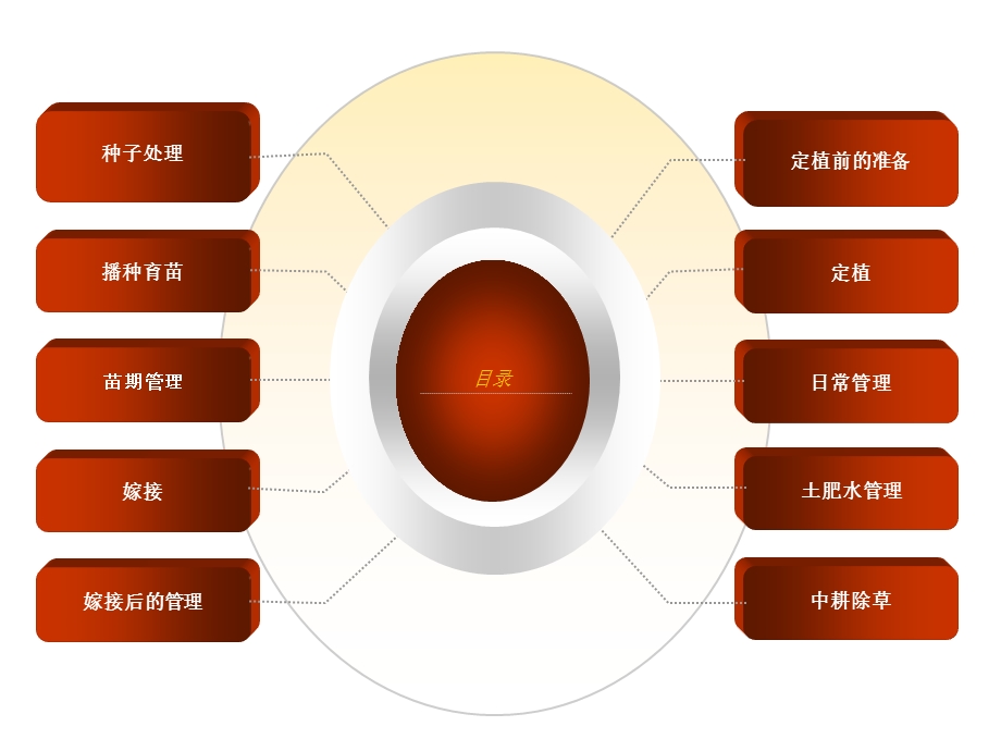 无籽西瓜栽培技术.ppt_第3页