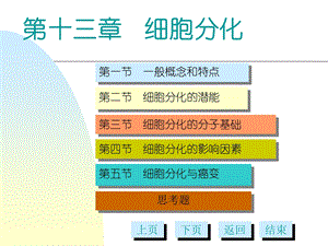 细胞分化多媒体.ppt