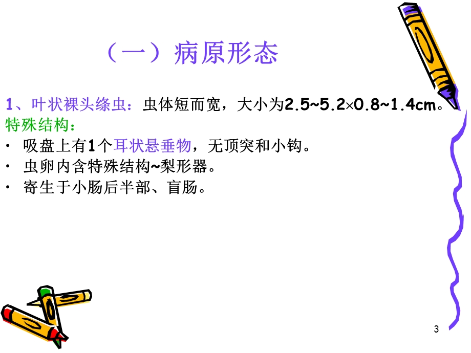 绦虫病裸头绦虫.ppt_第3页