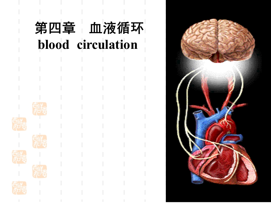 制血液循环上.ppt_第1页