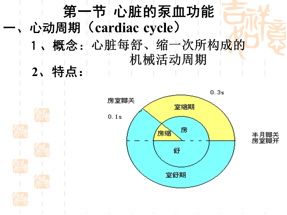 制血液循环上.ppt_第3页