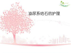 泌尿系结石的护理.ppt