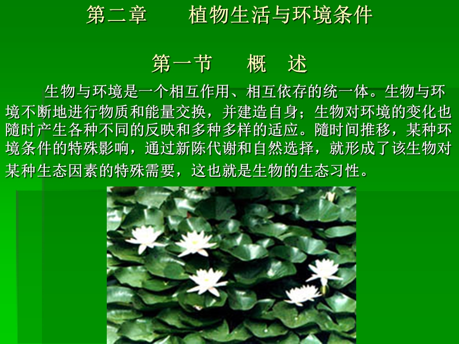 植物生活与环境条.ppt_第1页