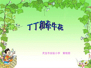 丁丁和牵牛花北师大第二册.ppt