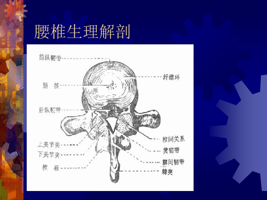 腰腿痛的针灸治疗.ppt_第2页