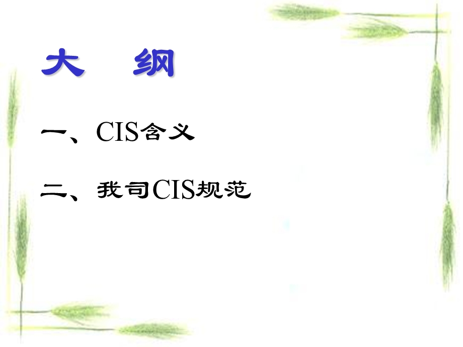 统一CIS规范手册.ppt_第3页