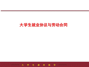 第四讲大学生就业协议与劳动合同.ppt