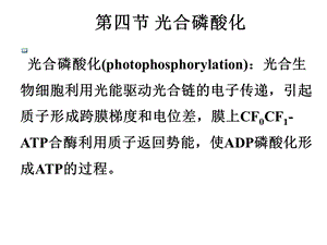 线粒体外氧化系统.ppt