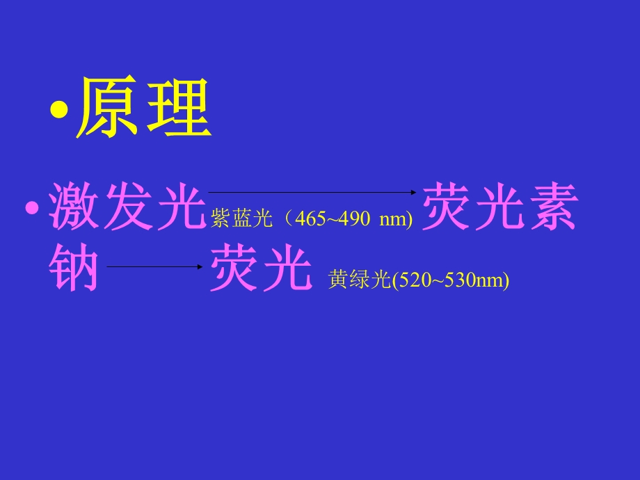 眼底血管荧光造影.ppt_第3页