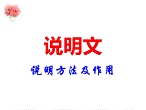 XZM说明文说明方法及作用.ppt