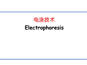 生物分离工程第八章电泳技术.ppt