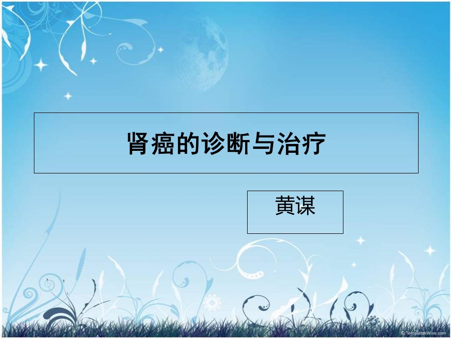 肾癌的诊断与治疗.ppt_第1页