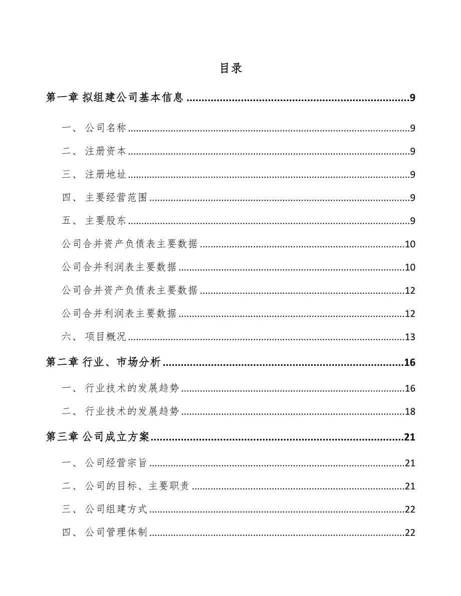 关于成立微特电机公司可行性研究报告.docx_第2页